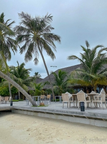 3 раз на Мальдивах