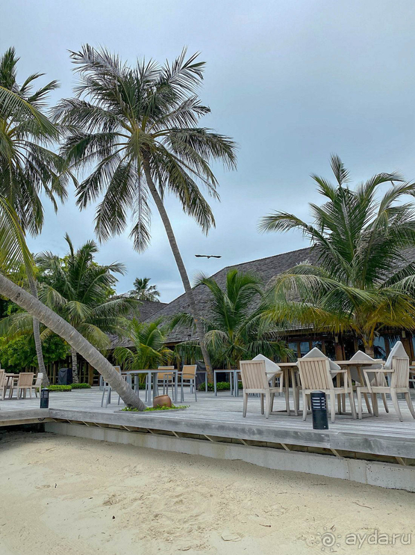 3 раз на Мальдивах