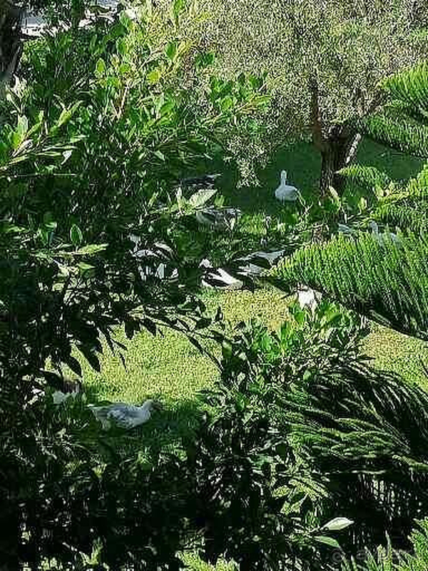 Отель рекомендую для семейного отдыха