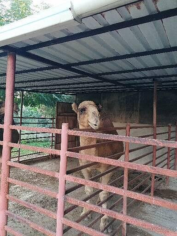 Отель рекомендую для семейного отдыха
