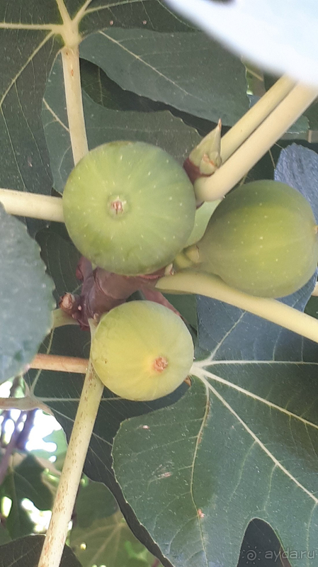 Отельчик очень милый