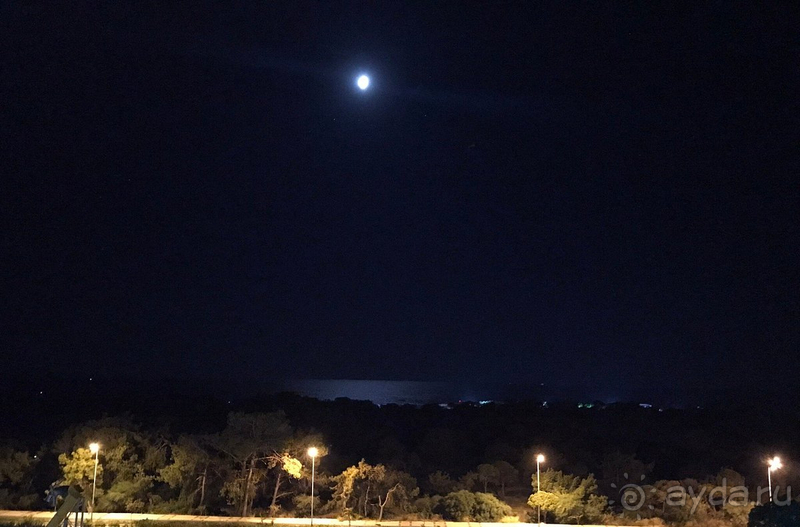 Долгожданный отпуск в прекрасном и уютном отеле