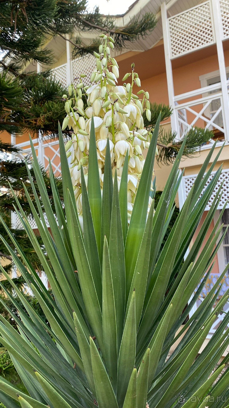 В этот отель я обязательно вернусь!