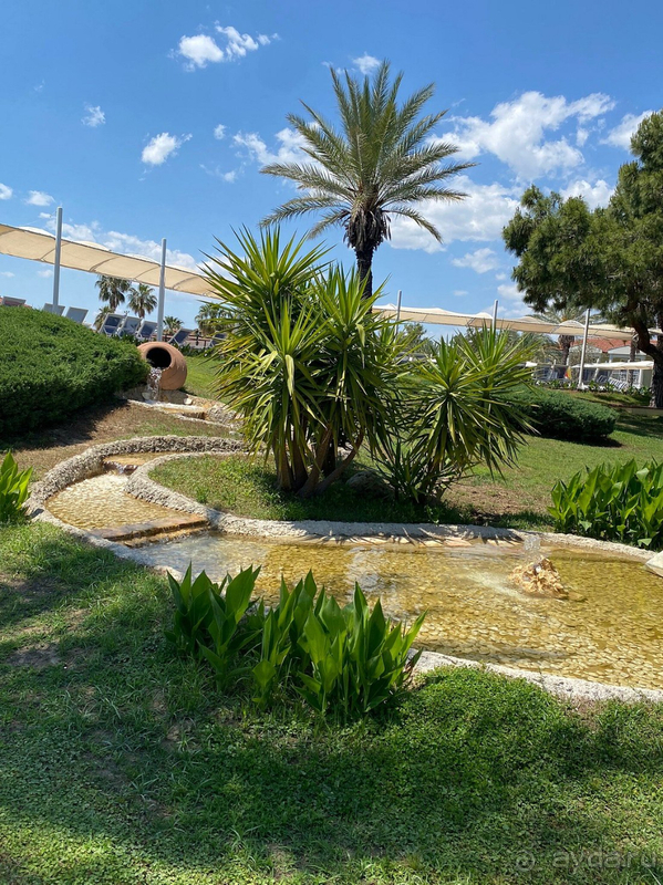 В этот отель я обязательно вернусь!