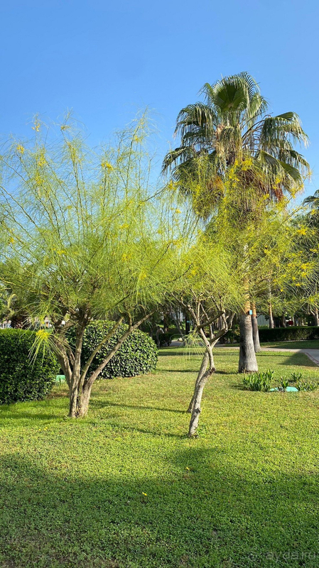 В этот отель я обязательно вернусь!