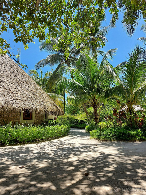 Еще раз спасибо. Ждем встречи на Kuredu Island Resort & Spa снова как можно быстрее!