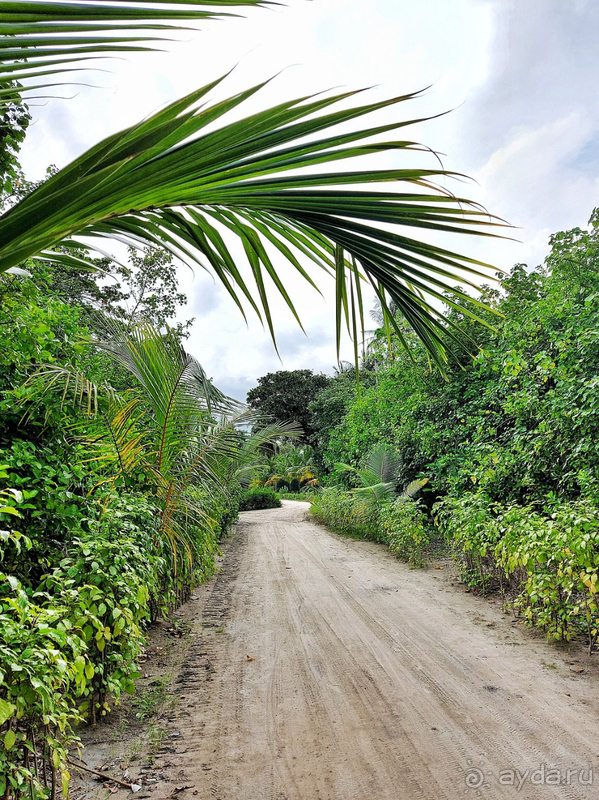 Еще раз спасибо. Ждем встречи на Kuredu Island Resort & Spa снова как можно быстрее! Еще раз спасибо. Ждем встречи на Kuredu Island Resort & Spa снова как можно быстрее!