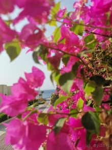 Очень атмосферный отель