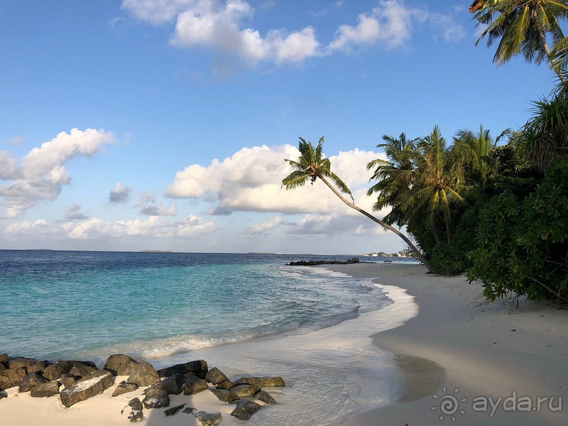 Присоединяюсь ко всем положительным отзывам