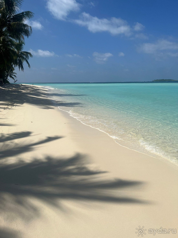 Мы очень довольны отпуском и отелем