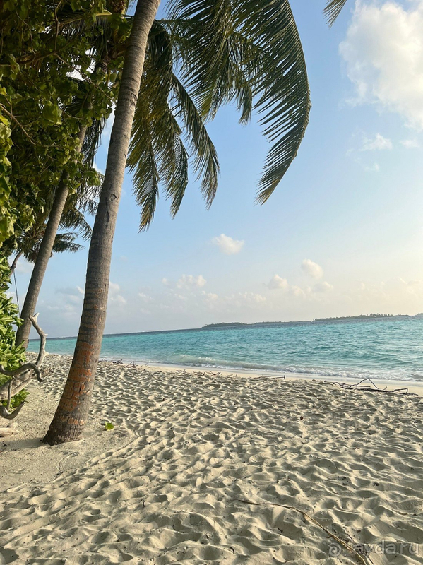 Мы очень довольны отпуском и отелем