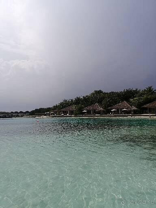 Однозначно рекомендую Cinnamon Dhonveli Maldives посещению