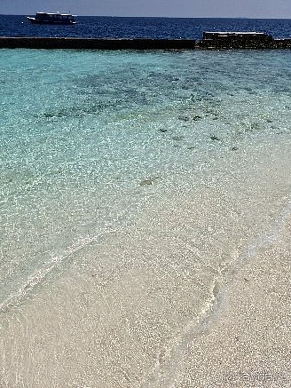 По мальдивским меркам - очень недорого