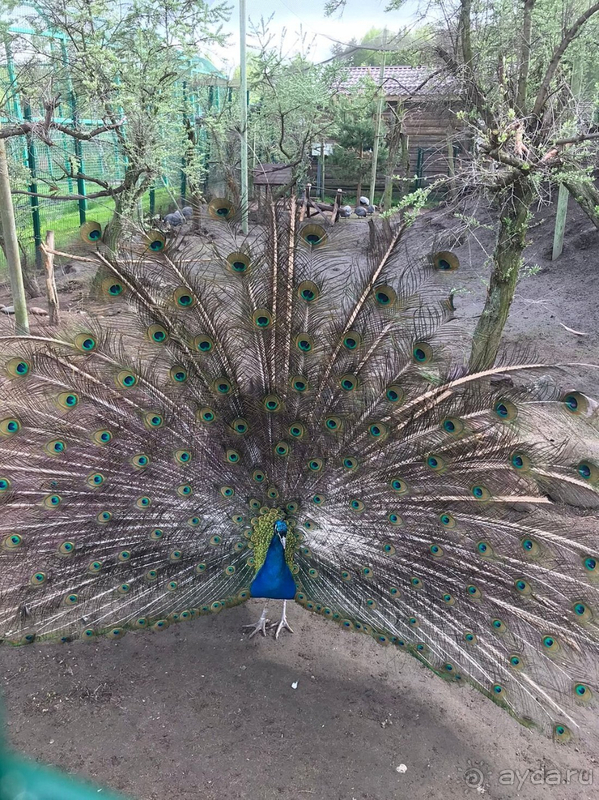 Хороший семейный отель