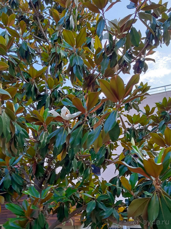 Хороший семейный отель