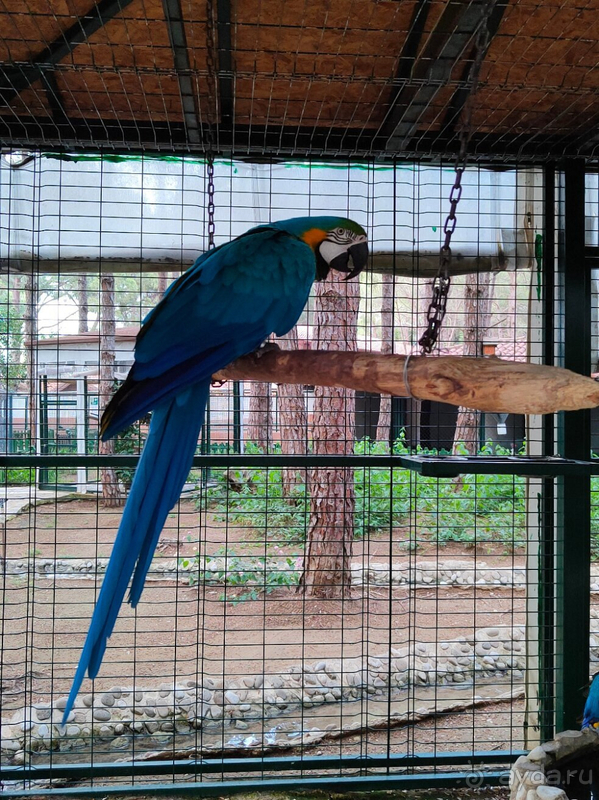 Хороший семейный отель