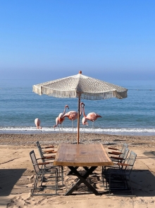 Лучший отдых на земле