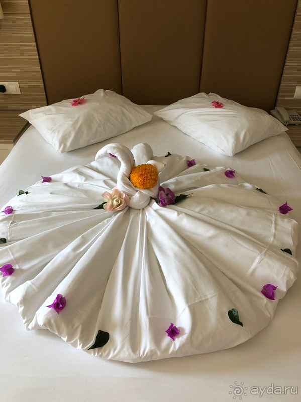 фото Delphin Deluxe Resort