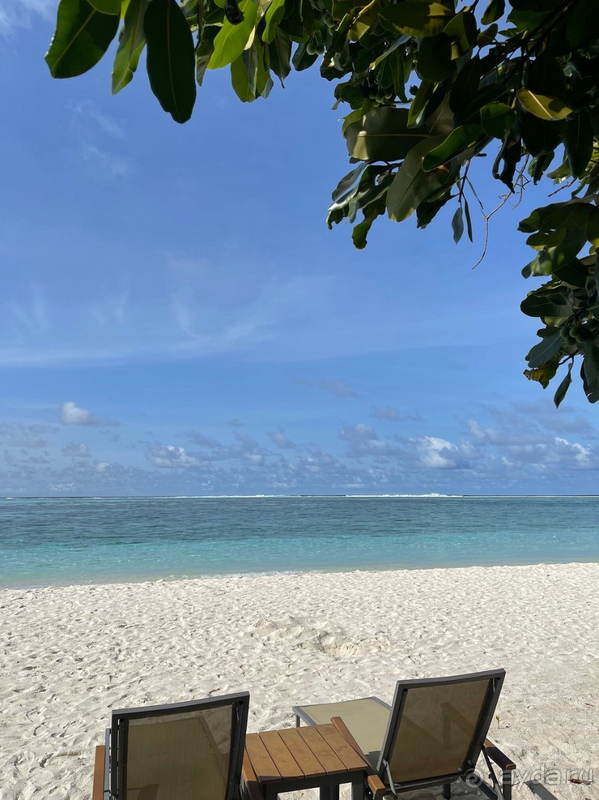 Cocoon Maldives - ты навсегда в моем сердце!