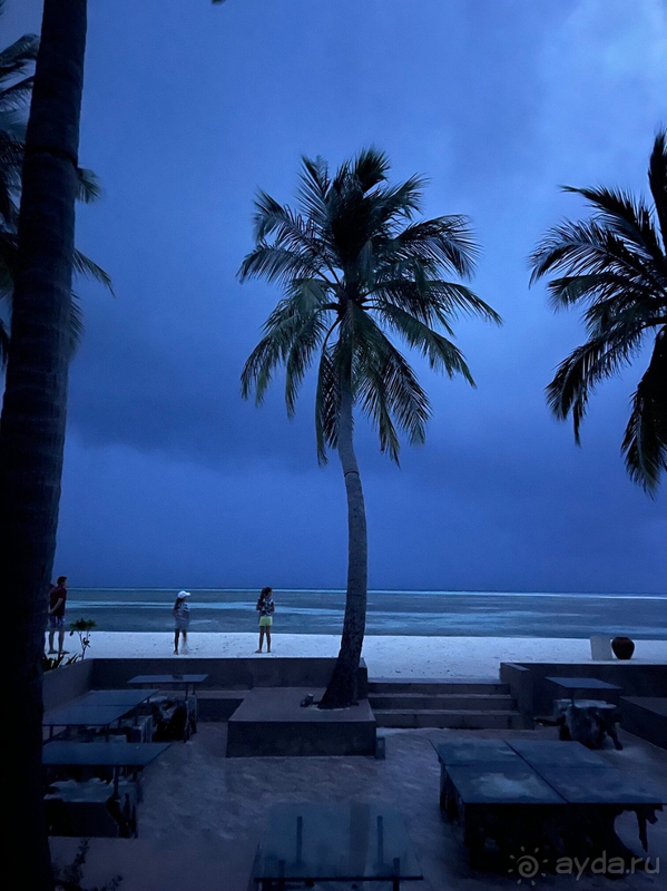 Cocoon Maldives - ты навсегда в моем сердце!