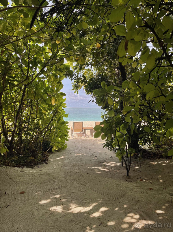 Cocoon Maldives - ты навсегда в моем сердце!