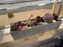 Не хуже Рэдиссона точно