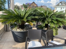 Не хуже Рэдиссона точно