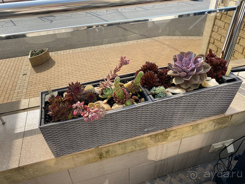 Не хуже Рэдиссона точно