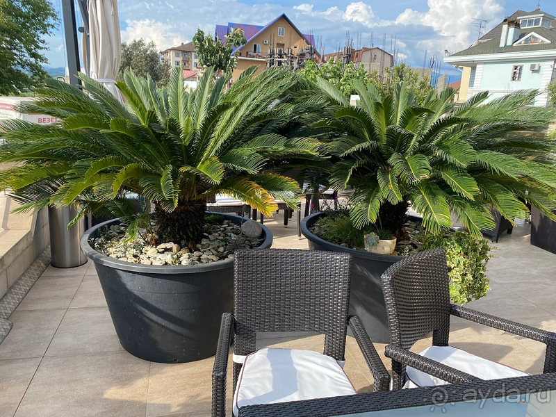 Не хуже Рэдиссона точно