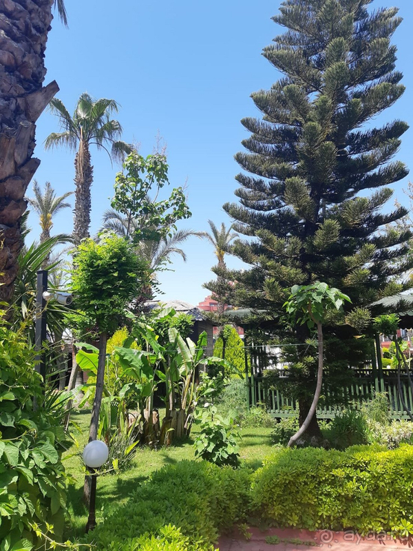 Прекрасный отель!!!!