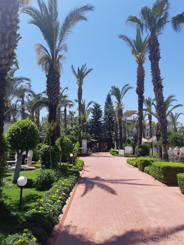 Прекрасный отель!!!!