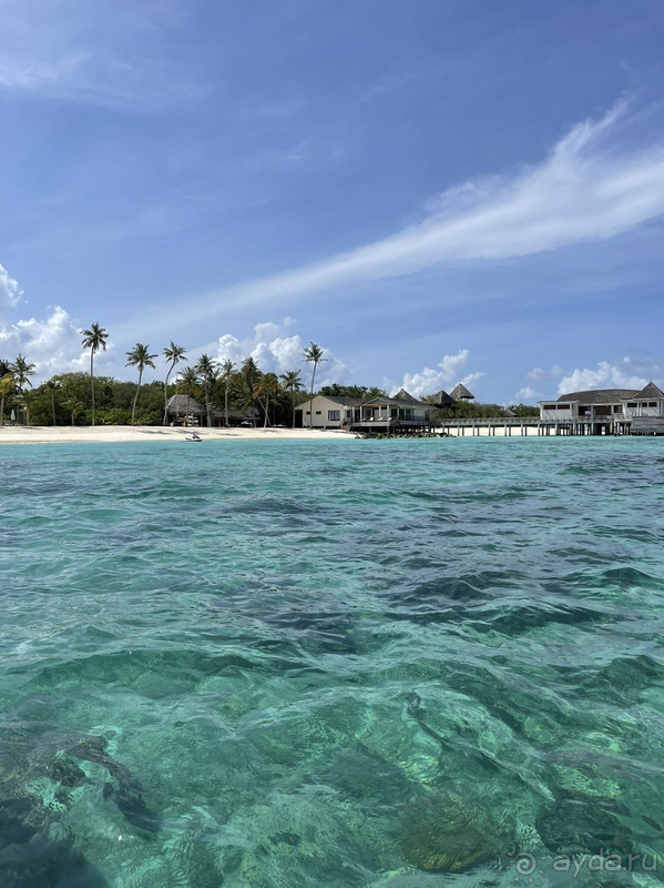В этом отеле есть «душа» , что бывает редко . 