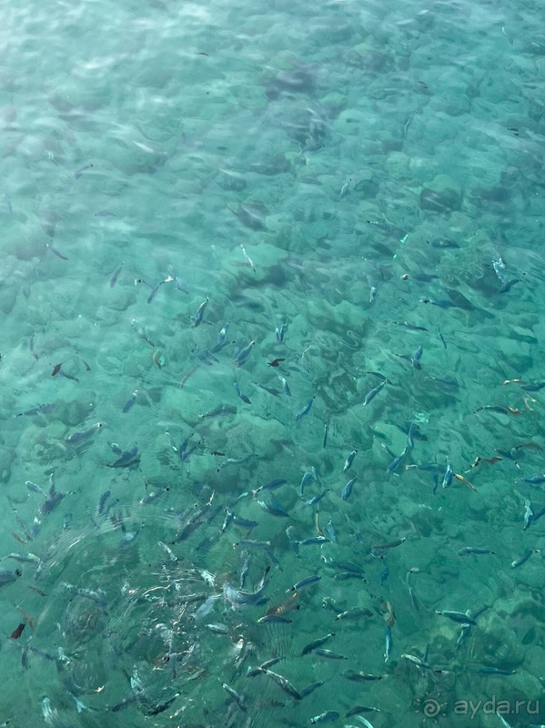 Потрясающий отель для отдыха!