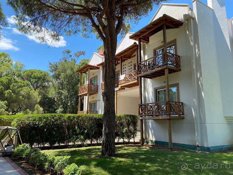 Нормально, но есть недочеты