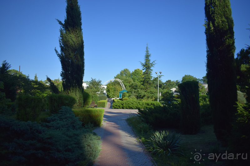 Отлично, уезжать не хотим!