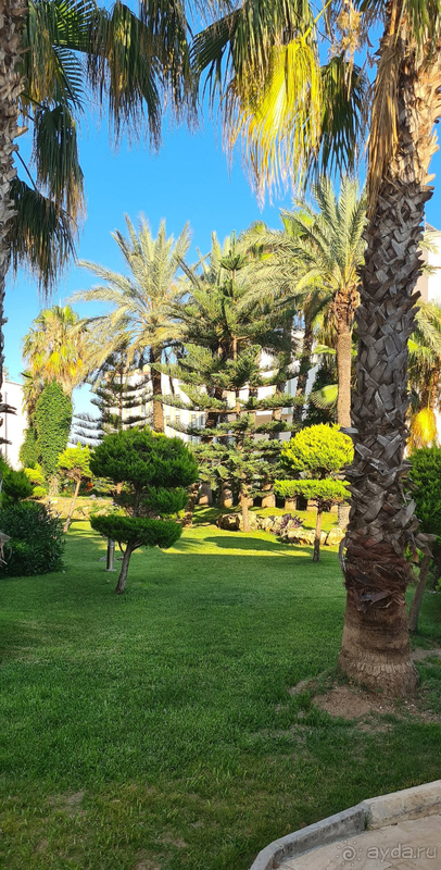 Спасибо за отличный отпуск !