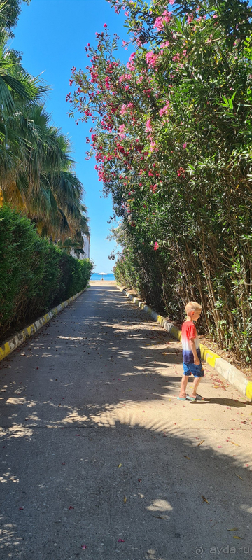 Спасибо за отличный отпуск !