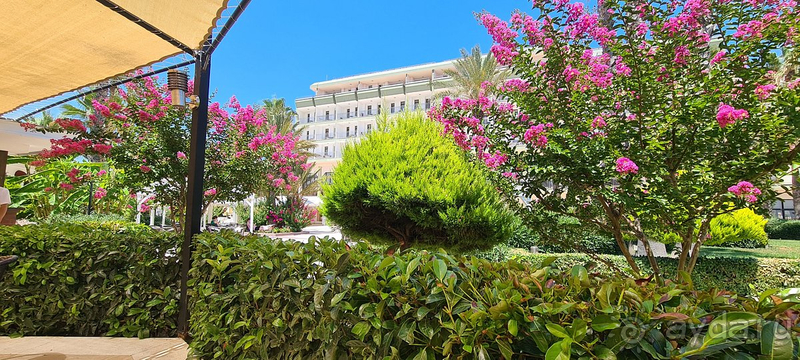 Спасибо за отличный отпуск !