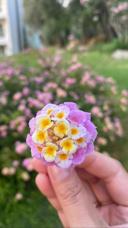 Семейный отдых в замечательном отеле.