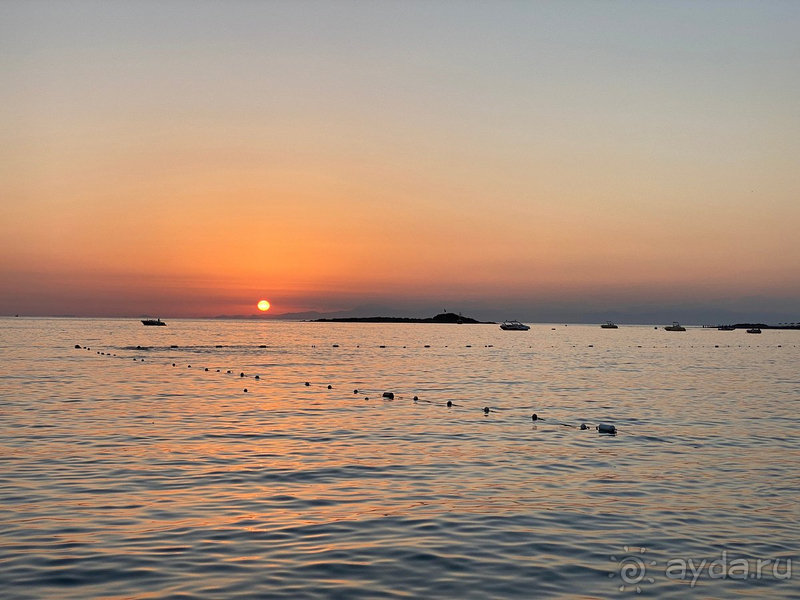 Честный отзыв