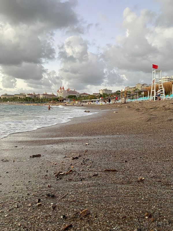 Честный отзыв