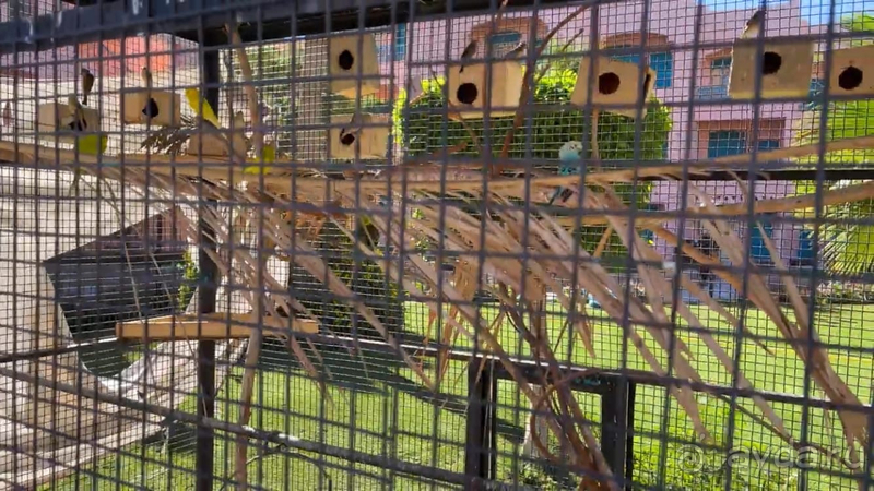 фото Le Pacha Resort