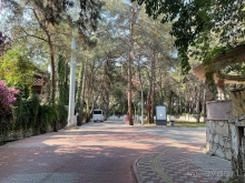 Отдых с пассивным курением Отдых с пассивным курением