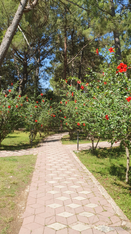 Пришлось переехать