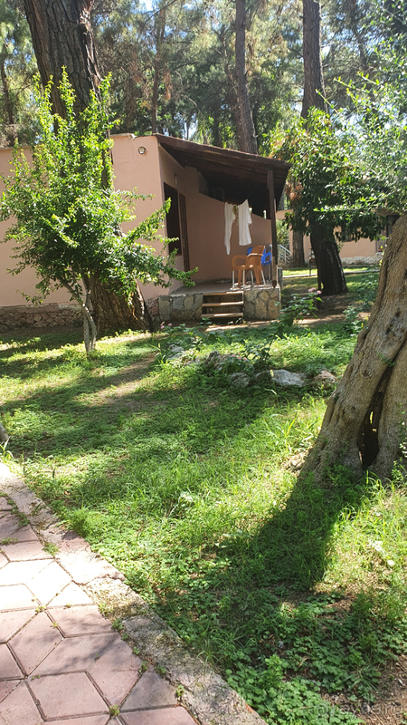 Пришлось переехать