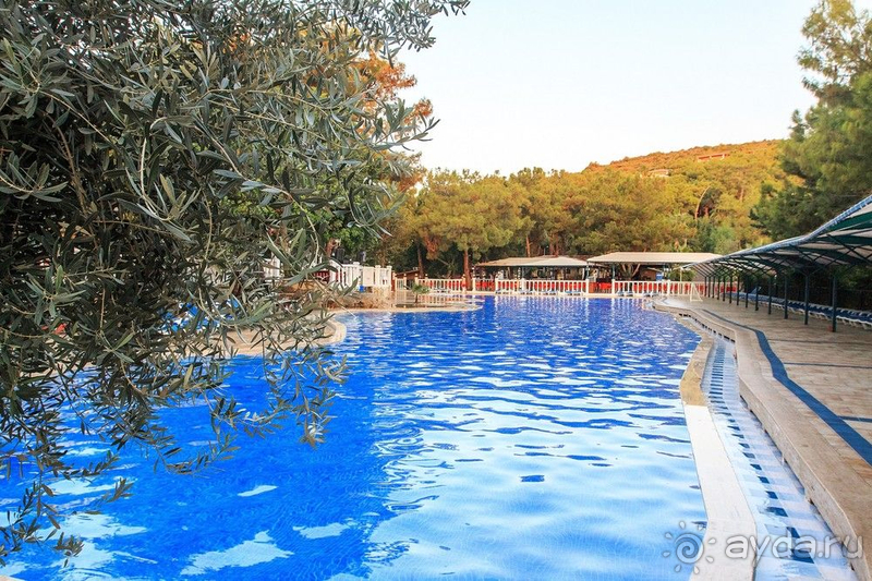 Отзыв об отеле Senza Garden Holiday Club.