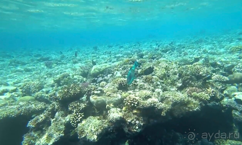 Честный отзыв на отель