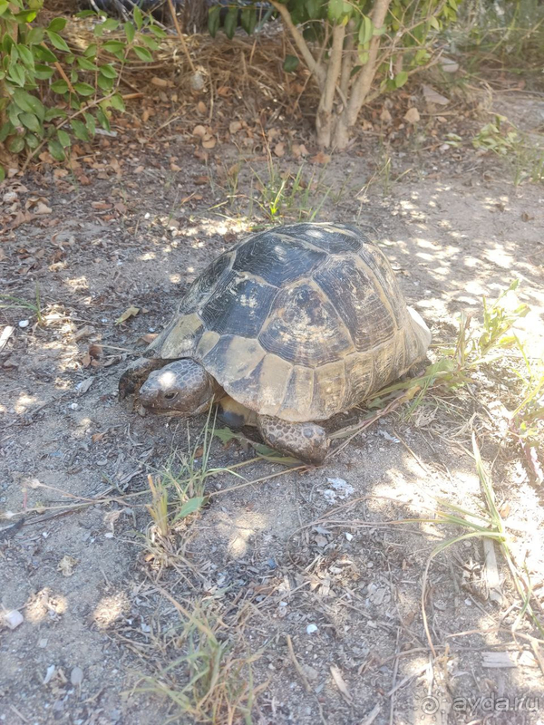 Хороший семейный отдых