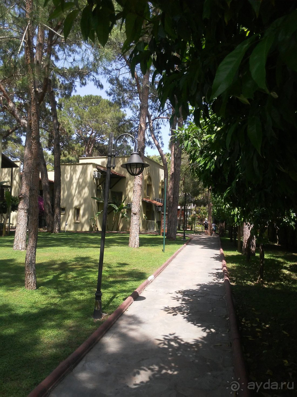 Вернемся ли мы в этот отель второй раз? – Да