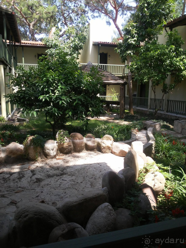 Вернемся ли мы в этот отель второй раз? – Да